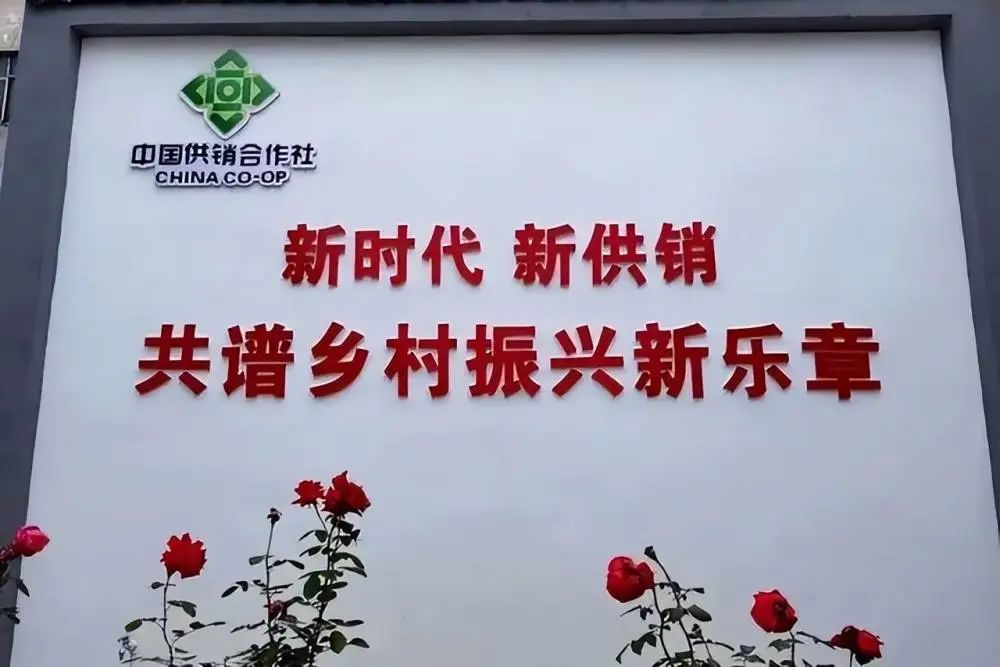 供销社的大秘密02.jpg