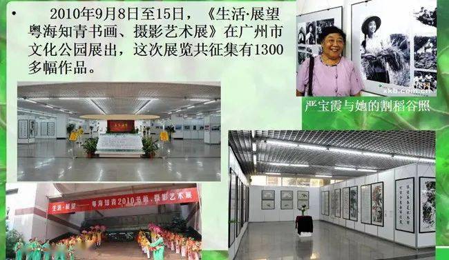 多届知青书画展.jpeg