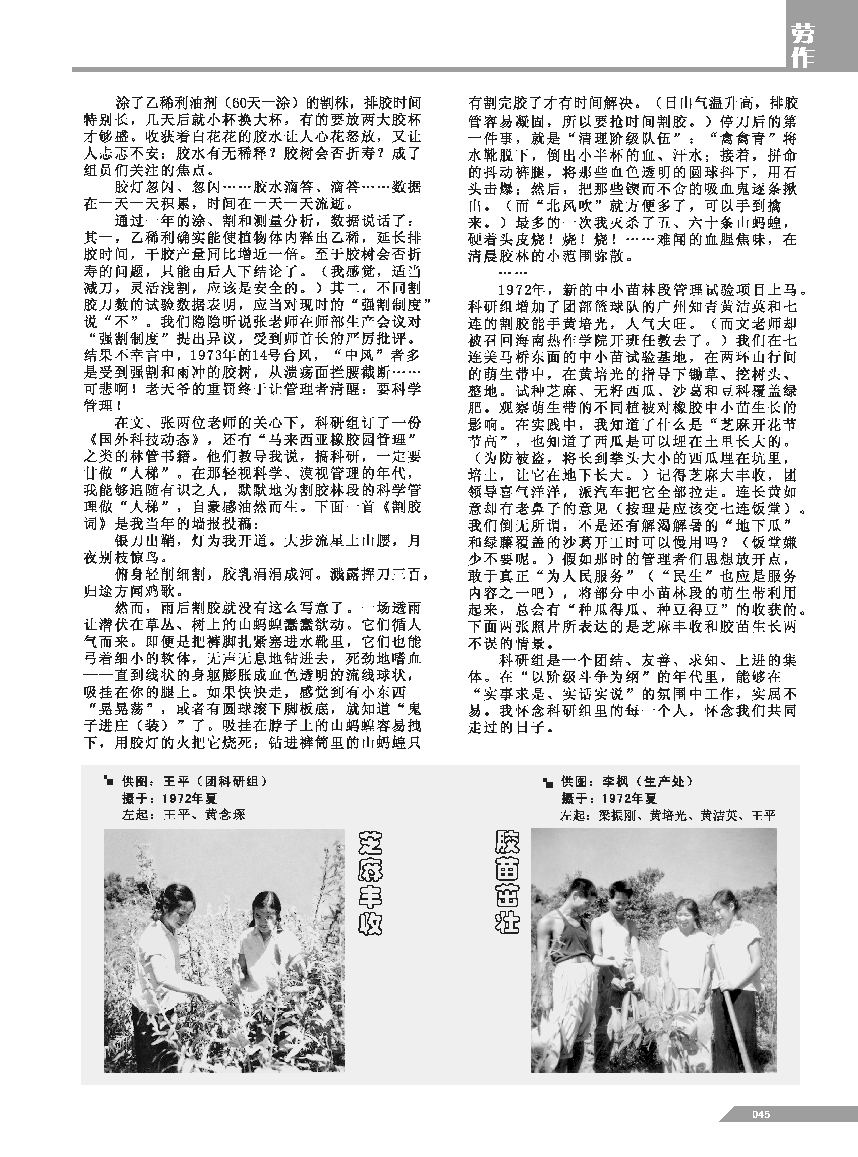 黄岭农场青春影踪内页45.png