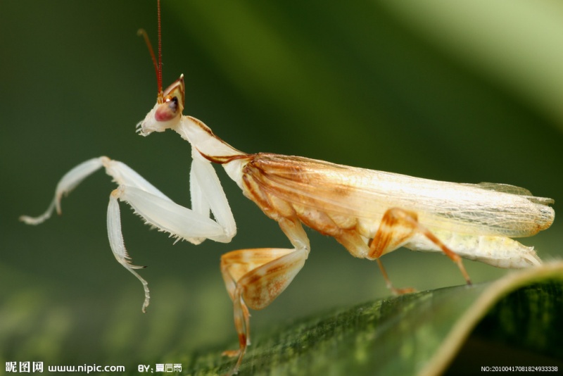 文件:1173378 081824933338 2.jpg