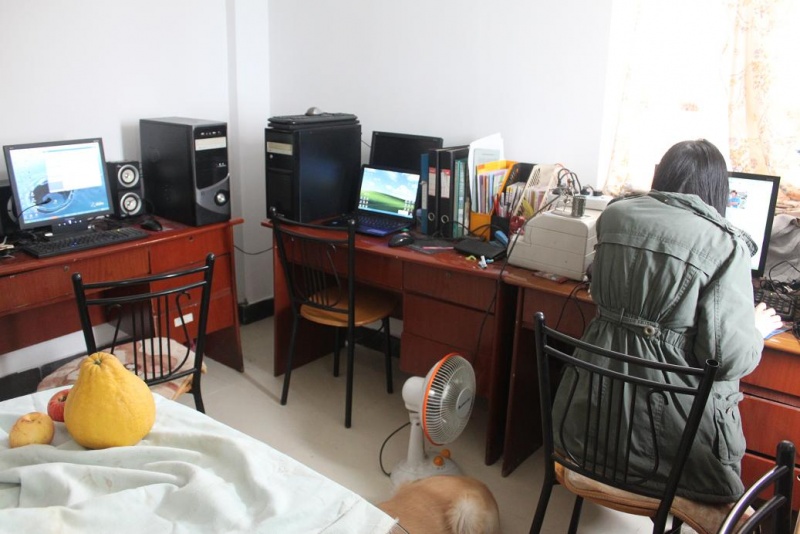 文件:IMG 6503-s1.JPG