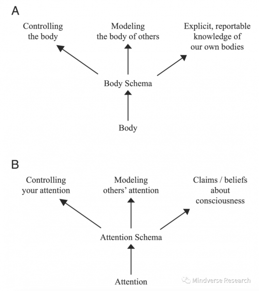 文件:AGI & 意识科学6.png