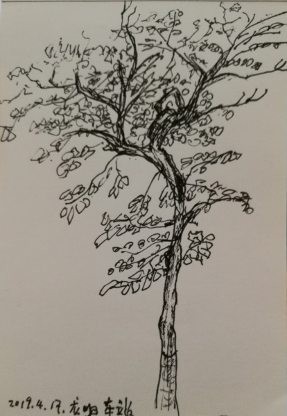 文件:IMG 20190418 121347.jpg