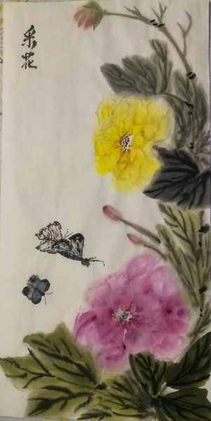 文件:IMG 20160507 234505.jpg