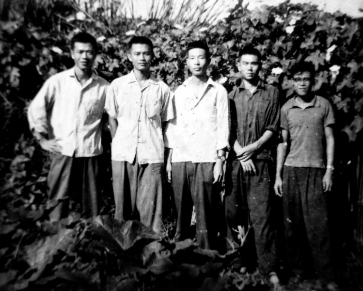 文件:24内页181-190输出-6.jpg