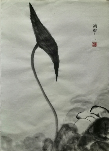 文件:IMG 20160317 095650.jpg