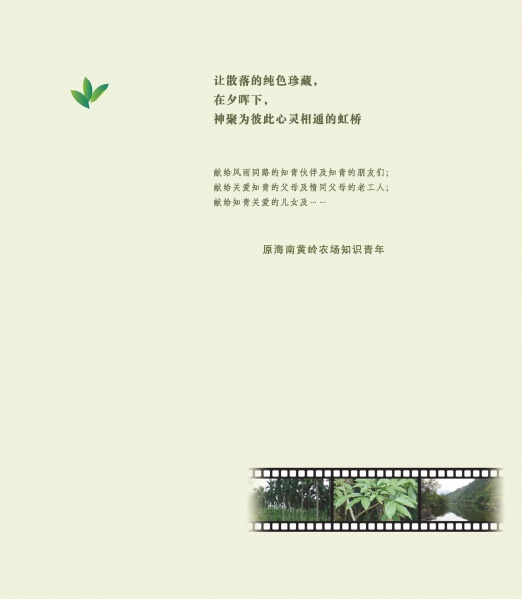 文件:黄岭农场青春影踪封面-2.jpg
