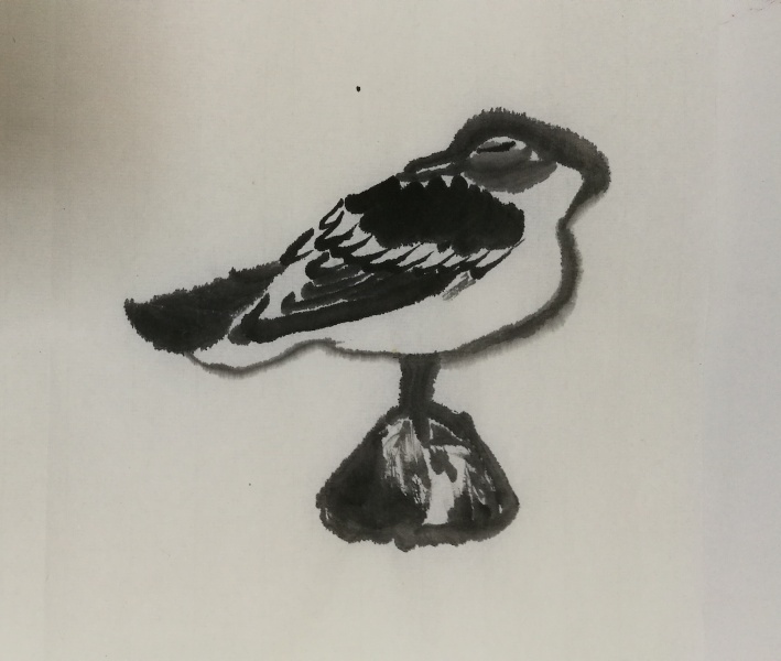 文件:IMG 20171216 165525.jpg