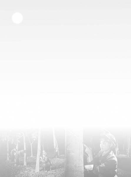 文件:黄岭农场青春影踪标题版7-8 2.jpg