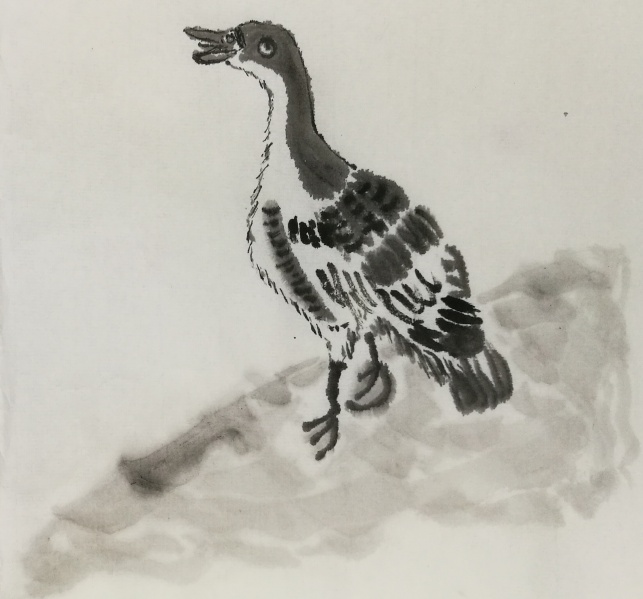 文件:IMG 20171216 165626.jpg