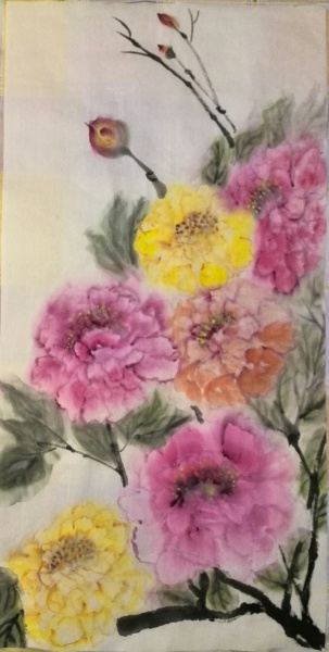 文件:IMG 20160519 220250.jpg