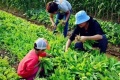2020年12月24日 (四) 13:37的版本的缩略图