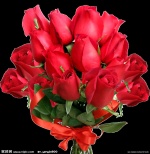 2542066 105027879435 2.jpg