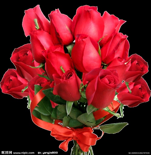 2542066 105027879435 2.jpg