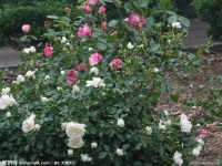 2649941 180600025600 2.jpg