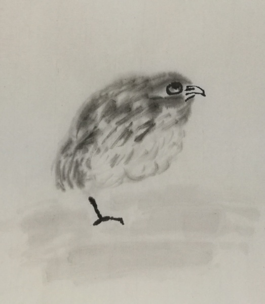 文件:IMG 20171216 165555.jpg